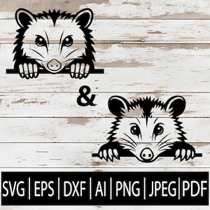 Zarigüeya del Sur Asomando SVGs / 2 Imágenes de Animales del Bosque de Zarigüeyas para Cricut Sublimación Láser CNC / SVG Eps Png Jpg Dxf Pdf Ai Descargar