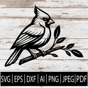 May include: Black silhouette of a cardinal bird perched on a branch with leaves. The bird is detailed with visible feathers and a pointed beak. The image includes file format options: SVG, EPS, DXF, AI, PNG, JPEG, and PDF.
