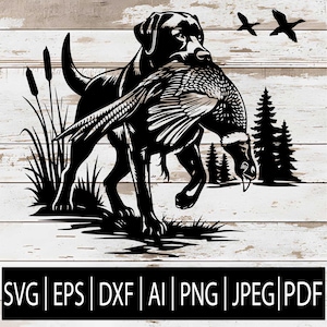 May include: Black silhouette of a Labrador Retriever dog carrying a pheasant in its mouth. The dog is walking through grass, with cattails and pine trees in the background. Two flying ducks are also visible. The image includes the text "SVG | EPS | DXF | AI | PNG | JPEG | PDF".