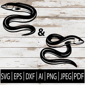 Op de afbeelding: Twee gestileerde zwarte paling illustraties met witte accenten, één boven en één onder een ampersand. De afbeelding staat tegen een witte houtnerf achtergrond. Onder de palingen staan bestandsformaat afkortingen: SVG, EPS, DXF, AI, PNG, JPEG en PDF.