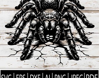 May include: A detailed black and white illustration of a tarantula spider with intricate details. The spider is centered on a cracked surface, with the words "SVG | EPS | DXF | AI | PNG | JPEG | PDF" at the bottom.
