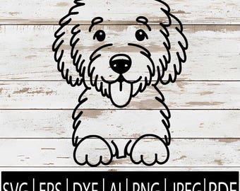 Desenho minimalista de Goldendoodle em SVG | Desenho de cachorro em estilo doodle com uma única linha | Clipart de Goldendoodle para Cricut, Sub-rotina, Laser e CNC | SVG, EPS, PNG, DXF, JPG, PDF e AI