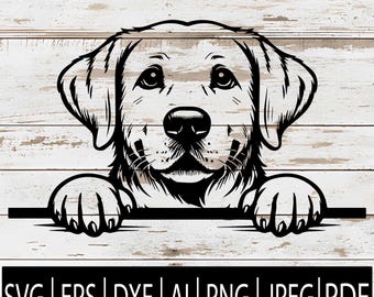 May include: Black and white illustration of a Labrador Retriever dog peeking over a horizontal line. The dog's head and paws are visible, with detailed features. Below the line are the file type abbreviations: SVG, EPS, DXF, AI, PNG, JPEG, and PDF.