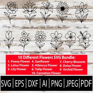 10 Flowers SVG Bundle | Different Floral Line Art Clipart Set for Cricut Sublimation Laser CNC | Svg Eps Png Dxf Jpg Pdf Ai Download