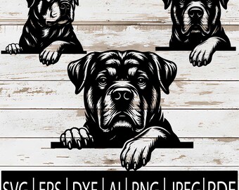 May include: Black and white Rottweiler dog illustrations. Three Rottweiler portraits with paws resting on a white wooden surface. The bottom of the image includes the text: SVG | EPS | DXF | AI | PNG | JPEG | PDF.