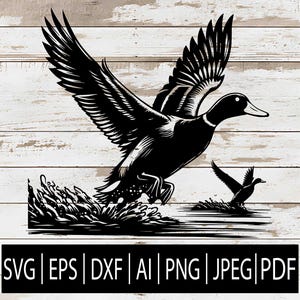 Flying Duck SVG| Mallard Duck Cut File for Cricut & Silhouette| Hunting Duck Clipart | Wildlife Bird Svg Eps Png Jpg Dxf Ai Digital Download
