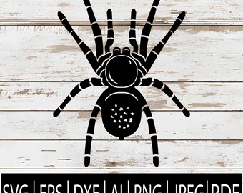Tarantula Spider SVG | Creepy Spider Clipart for Cricut laser Sub Cnc & Halloween | Insect Silhouette Cut File | Eps Png Dxf Jpg Pdf Ai File