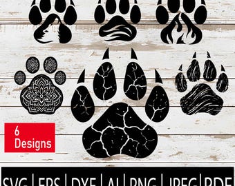 Un Ensemble Moderne D'empreintes De Pattes D'animaux