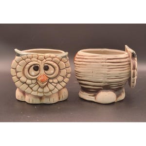 May include: Two ceramic owl-shaped planters. One owl planter is facing forward with large eyes, a small orange beak, and a beige and brown color scheme. The other planter is turned to the side, with a striped pattern and a small wing detail.