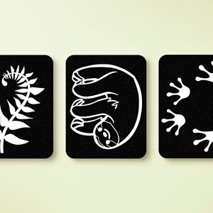 Série Earth Baby RAIN FOREST - Cartes à contraste visuel | Cadeaux imprimés pour bébé | Panier du matin | Apprentissage Montessori doux pour bébé et tout-petit
