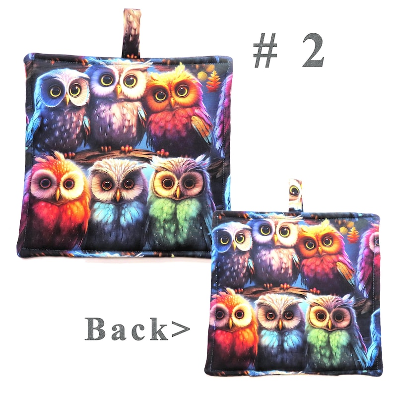 May include: Two square, quilted pot holders with a colorful owl design. The owls are in shades of blue, orange, red, and green. The pot holders have a loop for hanging and the text "# 2" and "Back >" are visible.