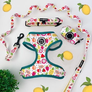 May include: A dog harness, leash, collar, and waste bag dispenser set. The set features a white background with a colorful fruit pattern of strawberries, watermelon, and pineapple. The harness has a green trim. A black leash clip is included.