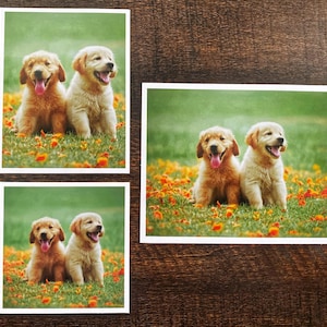 Custom Photo Magnets | Personalized Fridge Decor | Wedding Favor Magnets | Save-the-Date Photo Gifts
