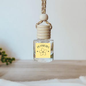 Hawaiian Flower Car Diffuser: Tropical Island Scents