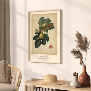 Fig Fruit Wall Art, Kitchen Printable Decor, Watercolor Fig Poster, Digital Download, Farmhouse Kitchen Art