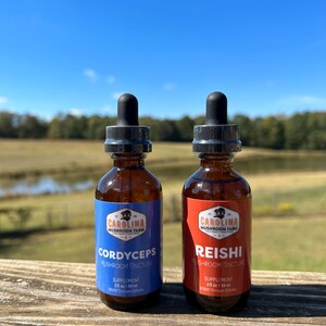 Heart Health Bundle - Cordyceps and Reishi Mushroom Extract for Daily Wellness, Natural Supplement