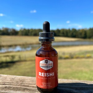 Reishi - Mushroom of Immortality, Natural Supplement