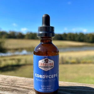 Cordyceps - Energy Boosting and improved brain function, Natural Supplement