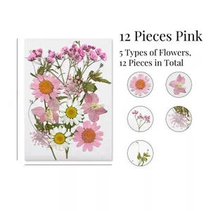 Bouquets de fleurs séchées - Pétale de fleur séchée - créations maison, bijoux en résine, scrapbooking, fabrication de bougies, cartes de voeux, coque de téléphone, art botanique