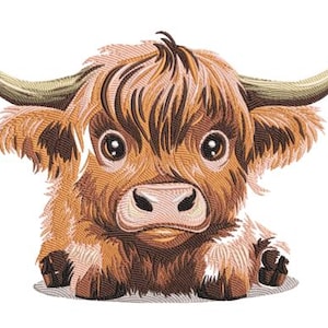 Puede incluir: Una vaca Highland marrón y blanca con pelo largo y desgreñado y grandes ojos marrones. La vaca está mirando directamente al espectador con la boca ligeramente abierta.