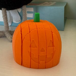 May include: A felt Halloween decoration featuring a bird dressed as a skeleton, with a black and white body and orange accents. An orange pumpkin with a carved face sits in front of the bird. A green plant and a blue book are in the background.