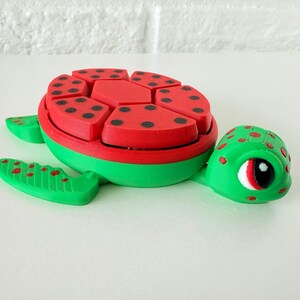 May include: A green and red turtle toy with a segmented shell. The shell is red with black dots and the turtle has a green head with a white eye.