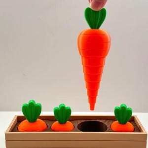May include: A wooden box with three orange carrots with green tops and one empty space. A hand is holding a fourth orange carrot with a green top above the box.