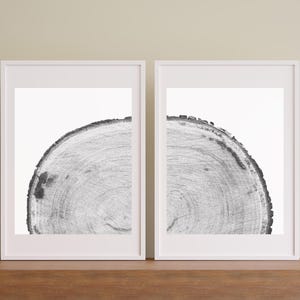 wood grain, stump, black and white, 2 images, tree ring art, nature art