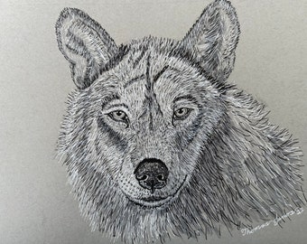 Wolf