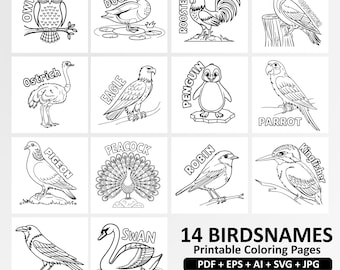 Disegni da colorare con i nomi degli uccelli per bambini – 14 schede stampabili / Attività educativa divertente