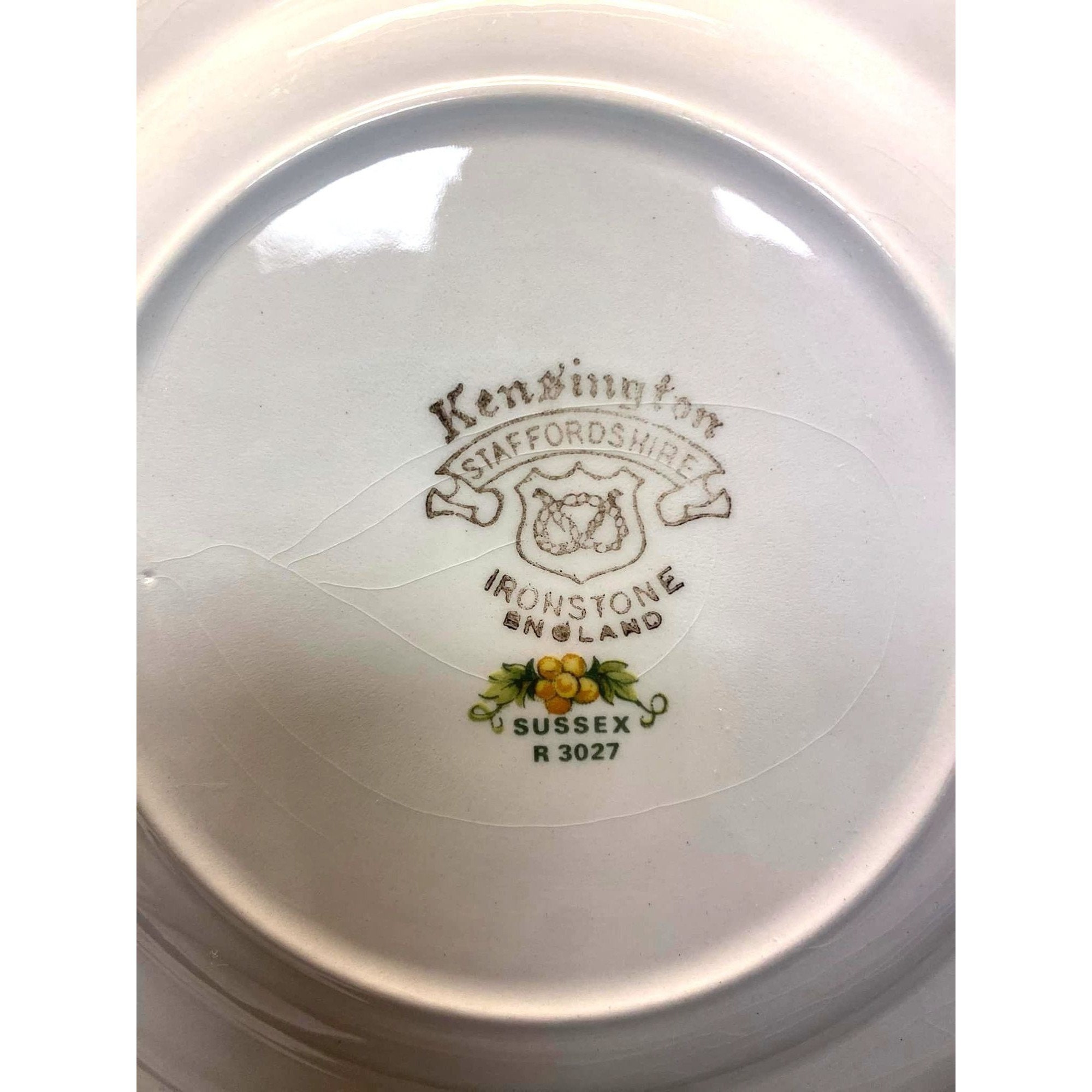 Kensington Staffordshire Ironstone England Dinner Plates SUSSEX