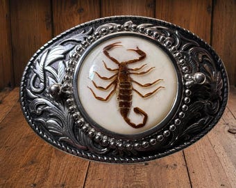 Boucle de ceinture vintage Western Scorpion avec incrustation de résine, années 1970, style insolite unisexe.