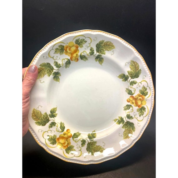 Kensington Staffordshire Ironstone England Dinner Plates SUSSEX