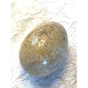 Polished Fossilized Stone Egg Paperweight Natural Brown & Beige Colors 2.5 Inches