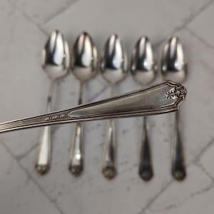 May include: A set of six silver spoons. One spoon is in focus, displaying an ornate handle design with a floral motif. The spoons have a reflective, polished surface, and are arranged against a light-colored, marbled background. The spoons are likely for dining.