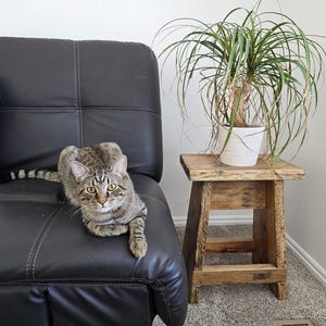 Rustic Stool