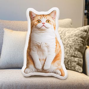 Funny Personalized Dog Pillow with Border, Shaped Pet Pillow, Dog Lover Gift, Dog Pillow, Pet Memorial, Pet Gift, Dog Gift, Funny Cat Gift