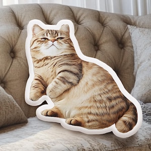 Funny 3D Cat Pillow, Shaped Pet Pillow, Cat Lover Gift, Pet Memorial, Cat Pillow, Pet Gift, Personalized Pillow, Funny Gift, Cute Pet Pillow