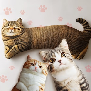 Hot Ugly Cat/Dog Zany Pillow | Custom Pet 3D Shape Pillow | Personalized Pet Pillow from Photo | Pet Loss Memorial Gift | Christmas Gifts