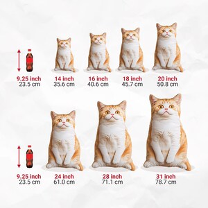 Hot Ugly Cat/dog Zany Pillow | Custom Pet 3D Shape Pillow ...