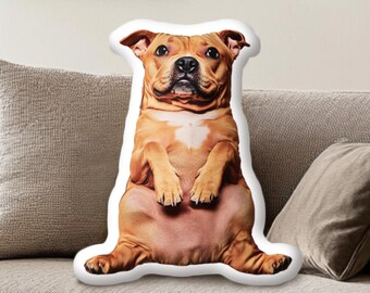 Hässliches Haustierkissen mit Rand, geformtes Haustierkissen, Hunde- und Katzenliebhabergeschenk, Hundekissen, Haustier-Denkmal, Haustiergeschenk, Hundegeschenk, Katzengeschenk, lustiges Geschenk