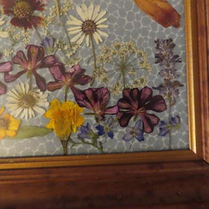 Pu&ograve; includere: Un'opera d'arte incorniciata con fiori pressati, che presenta fiori secchi in tonalit&agrave; di bianco, giallo, viola e blu. La composizione floreale &egrave; disposta su uno sfondo azzurro chiaro a motivi, racchiusa in una cornice di legno.