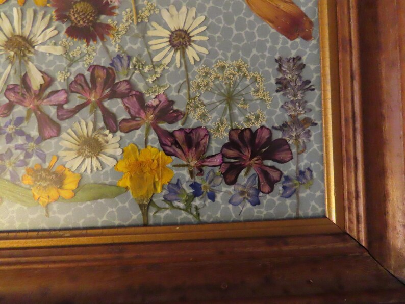 Pu&ograve; includere: Un'opera d'arte incorniciata con fiori pressati, che presenta fiori secchi in tonalit&agrave; di bianco, giallo, viola e blu. La composizione floreale &egrave; disposta su uno sfondo azzurro chiaro a motivi, racchiusa in una cornice di legno.