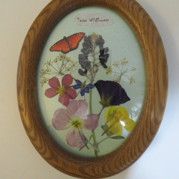 Texas Wildflowers Etsy