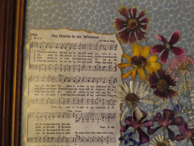 Pu&ograve; includere: Un'opera d'arte incorniciata con una pagina di spartito vintage intitolata "The Church in the Wildwood", adornata con fiori secchi nei toni del rosso, giallo e viola. Lo sfondo &egrave; un tessuto azzurro chiaro a fantasia.