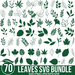 Pacchetto di foglie in formato SVG, foglie disegnate a mano in formato SVG, piante in formato SVG, foglie di carta, foglie di ghirlanda in formato SVG, clipart di foglie, modelli di foglie, taglio Cricut, Silhouette