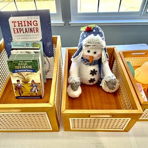 May include: Three rectangular wooden storage bins with light-colored woven cane side panels. The left bin holds books including Thing Explainer and Magic Tree House. The center bin contains a plush snowman wearing a blue hat. The right bin holds a yellow duck lamp.