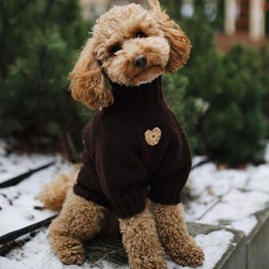 Puede incluir: Un caniche marrón con un jersey de cuello alto marrón oscuro con un pequeño parche en forma de corazón beige. El perro está sentado afuera sobre una superficie nevada, con follaje verde en el fondo.