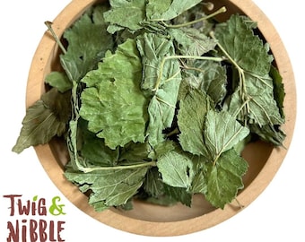 Natural Rabbit Food Blackcurrant Forage|Dried Botanical Leaves|Guinea Pig