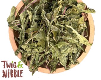 Natural Rabbit Food Dandelion Leaves Forage|Dried Botanical|Guinea Pig